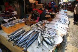 カンボジアで青魚アレルギー？実はヒスタミン中毒かも【現役医師が解説】