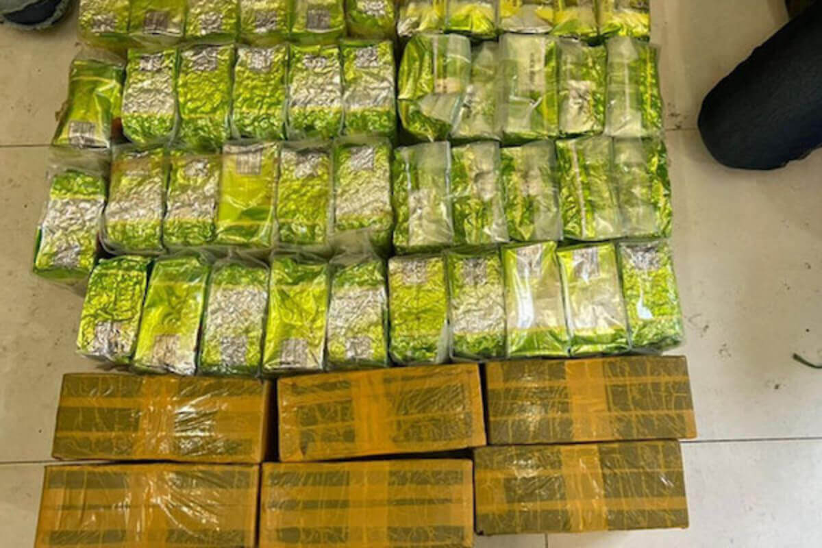 カンボジア　1月〜7月は薬物犯罪者、押収量が増加