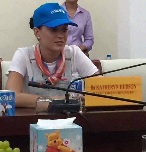 Katy PerryがNinh Thuận省に！