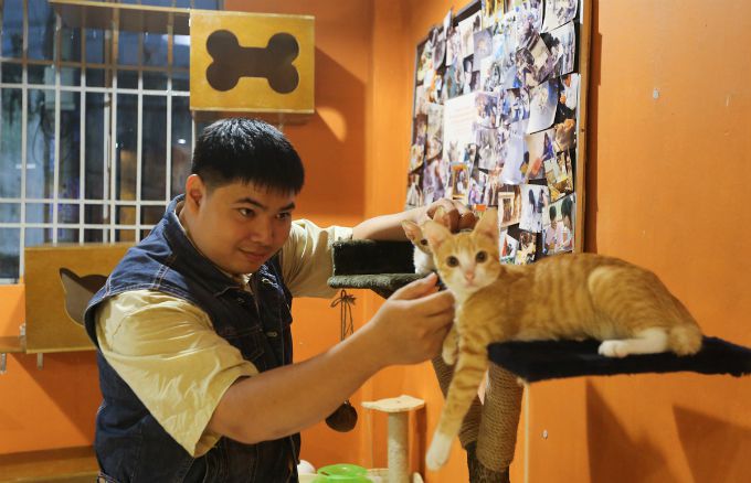 ホーチミンのカフェ、「捨て猫が集まる場所」として話題に