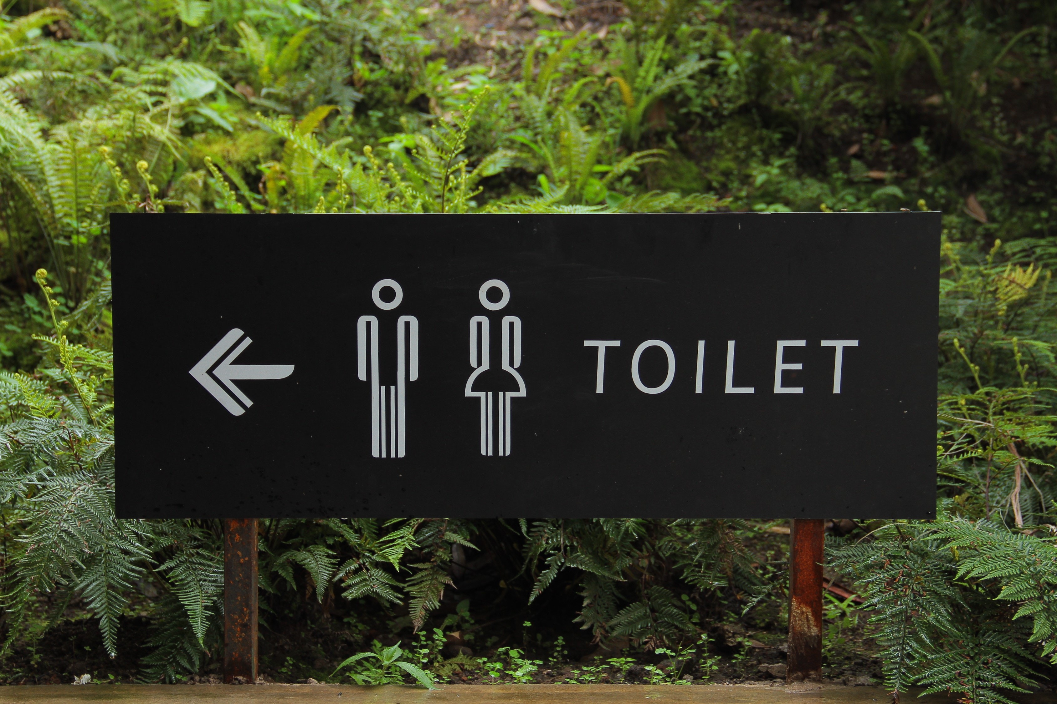 ベトナムのトイレ事情｜トイレットペーパーは流せる？シャワーの使い方・注意点