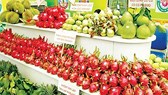 ベトナム対日輸出売上高、複数製品で減少