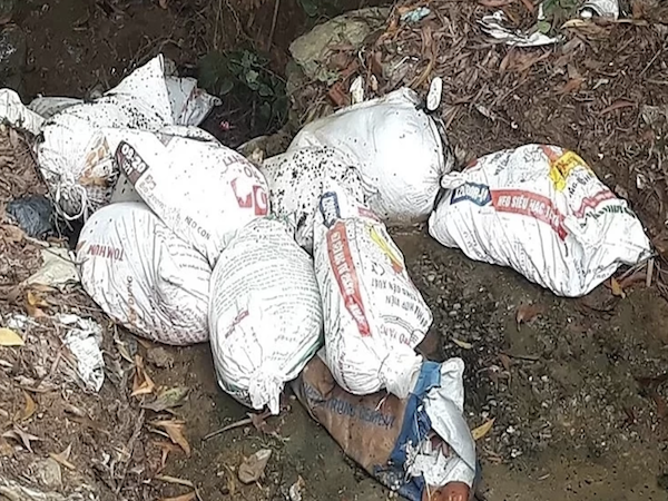 豚コレラ感染の豚の死体を不法投棄か