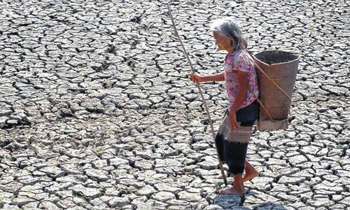 歴史的な干ばつ　ベトナム経済に４億ドルの被害