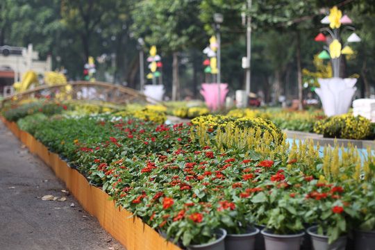 花見祭り開催　今年のテーマは「輝く希望」