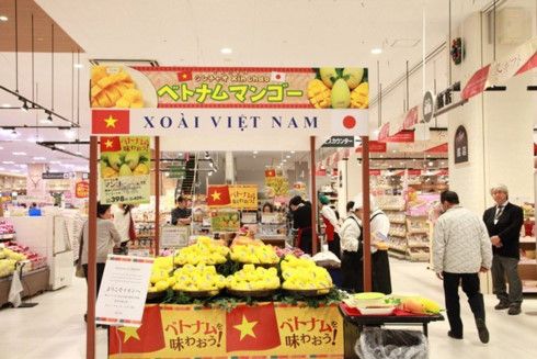 ベトナムの果物、日本でますます人気に