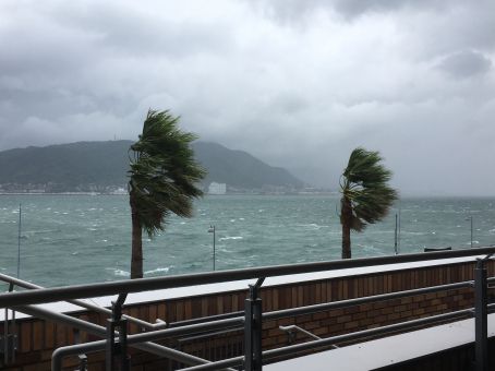 大型台風が今週、ベトナム東部海域を直撃か