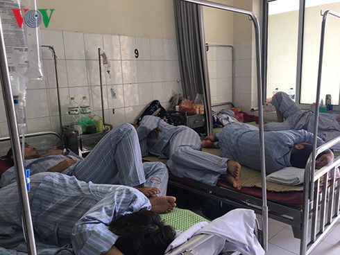 ベトナム保健省、デング熱予防呼びかける
