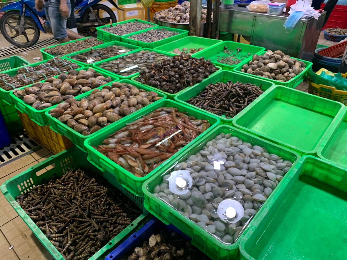 ビンディエン市場　貝