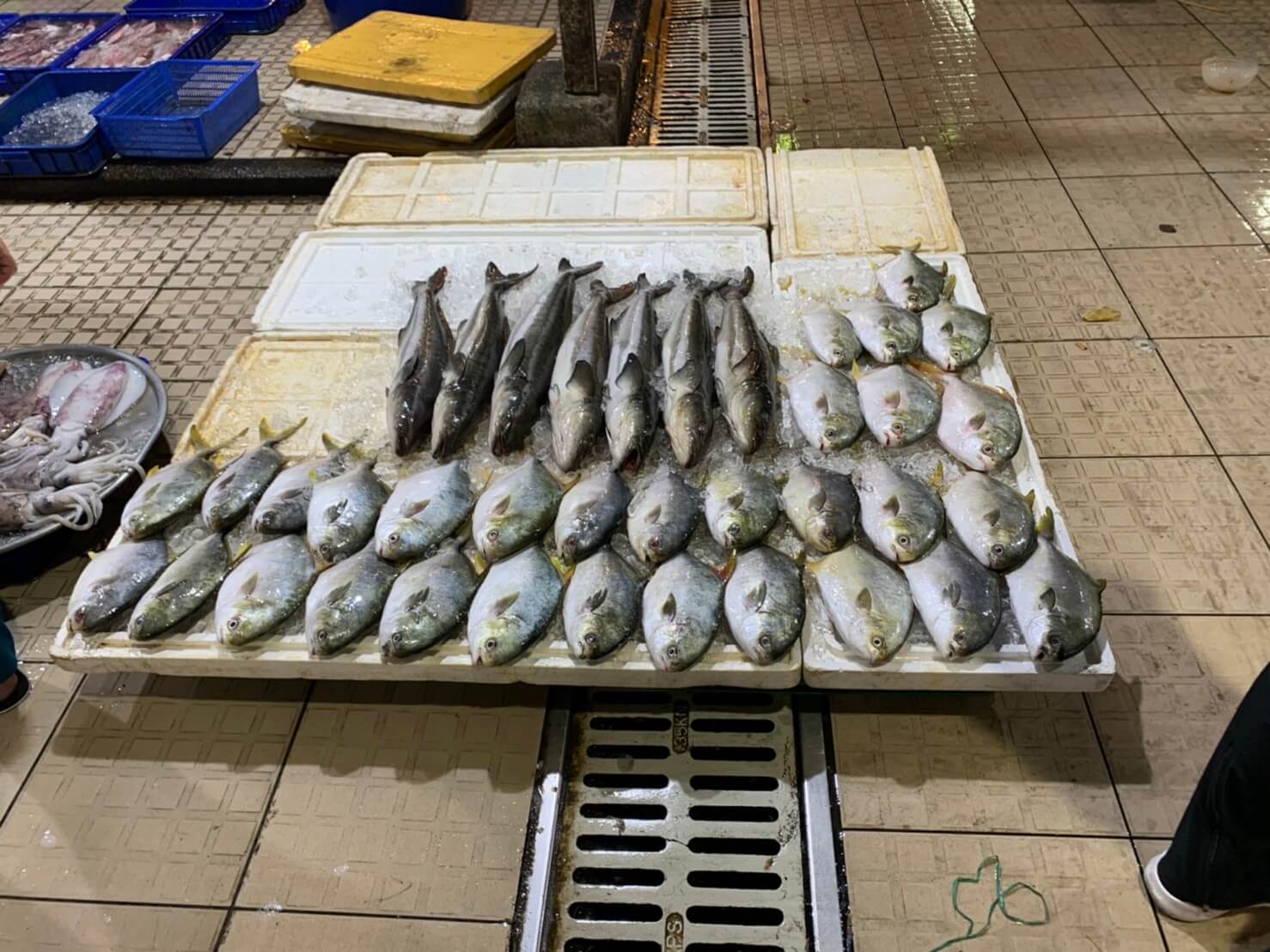 ビンディエン市場　鮮魚