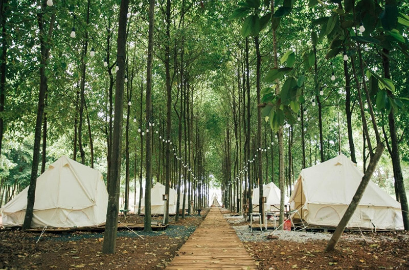 Sao Đen Camping