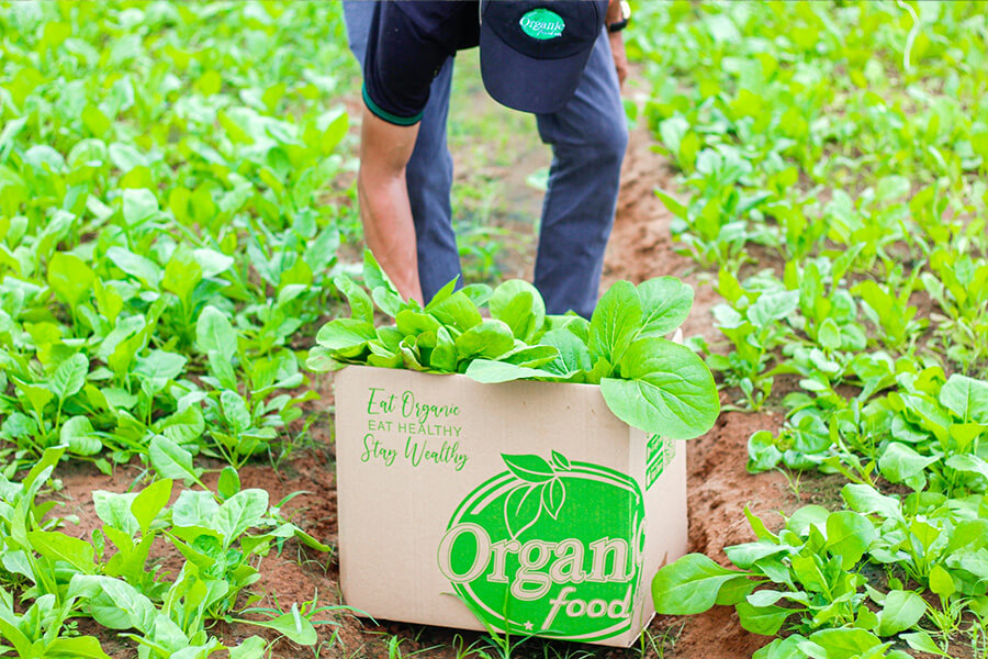 ベトナムのオーガニック食品通販 Organicfood.vn