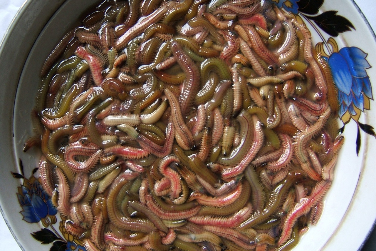 ベトナムのチャールオイ