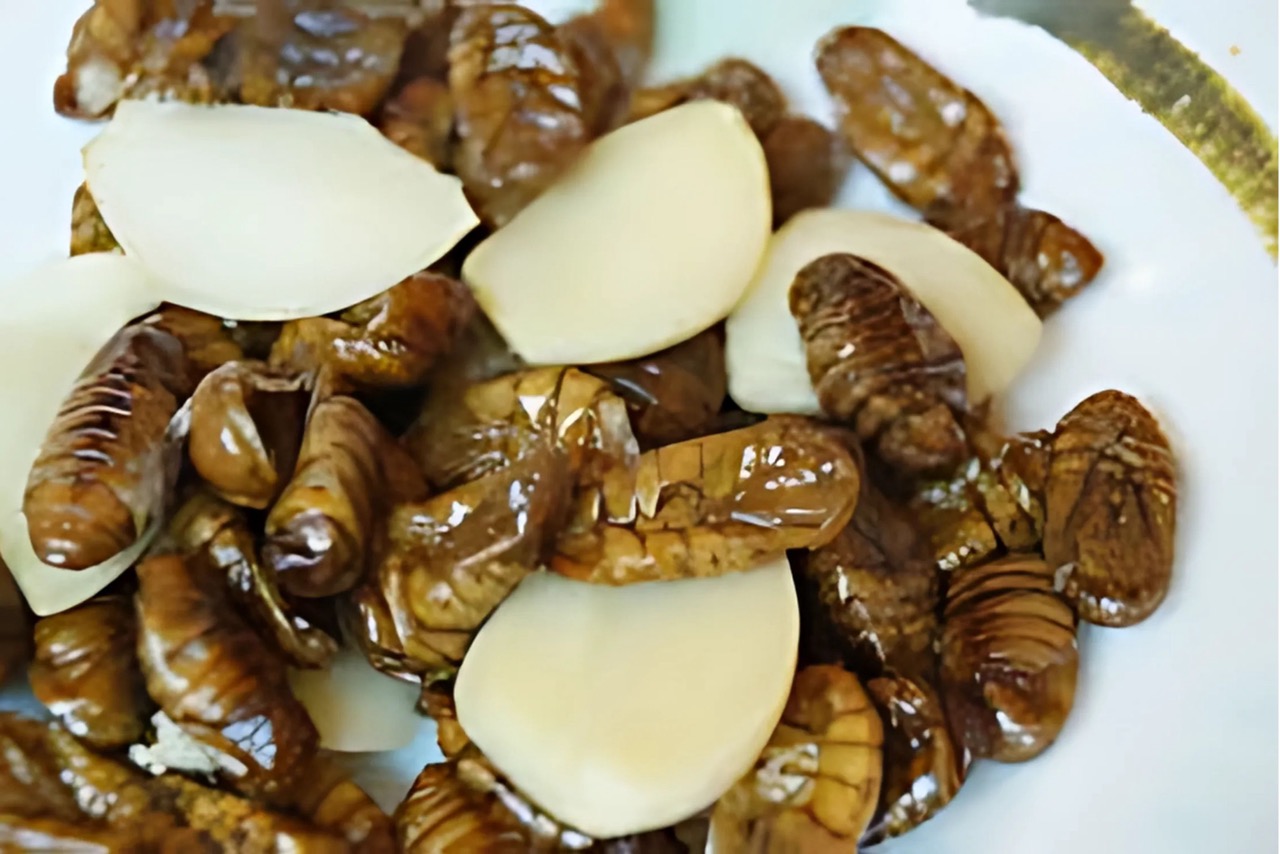 ベトナムの蚕のさなぎ料理