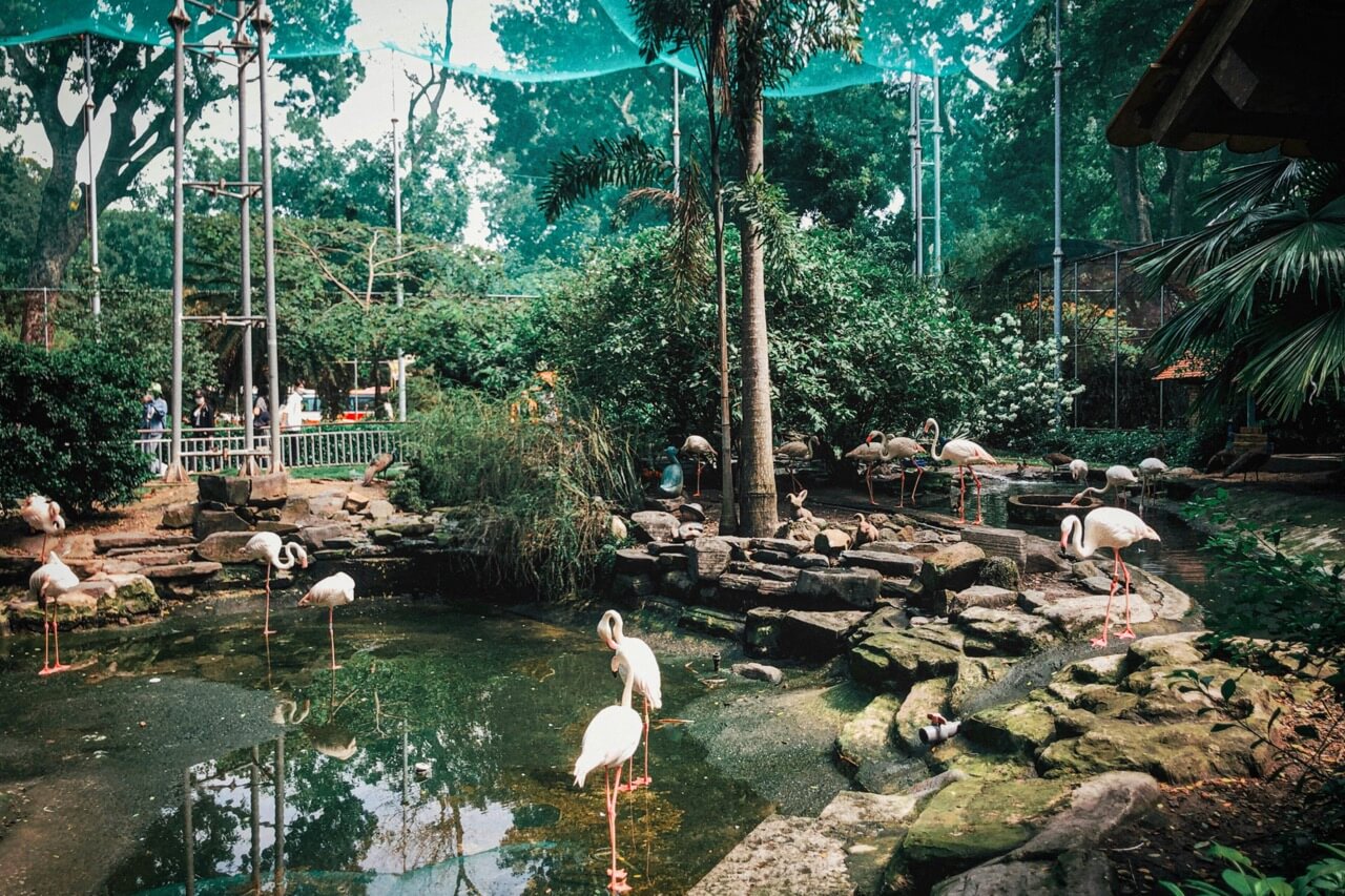 サイゴン動植物園