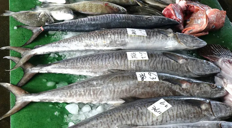 ベトナムでcá thuとして販売されている魚