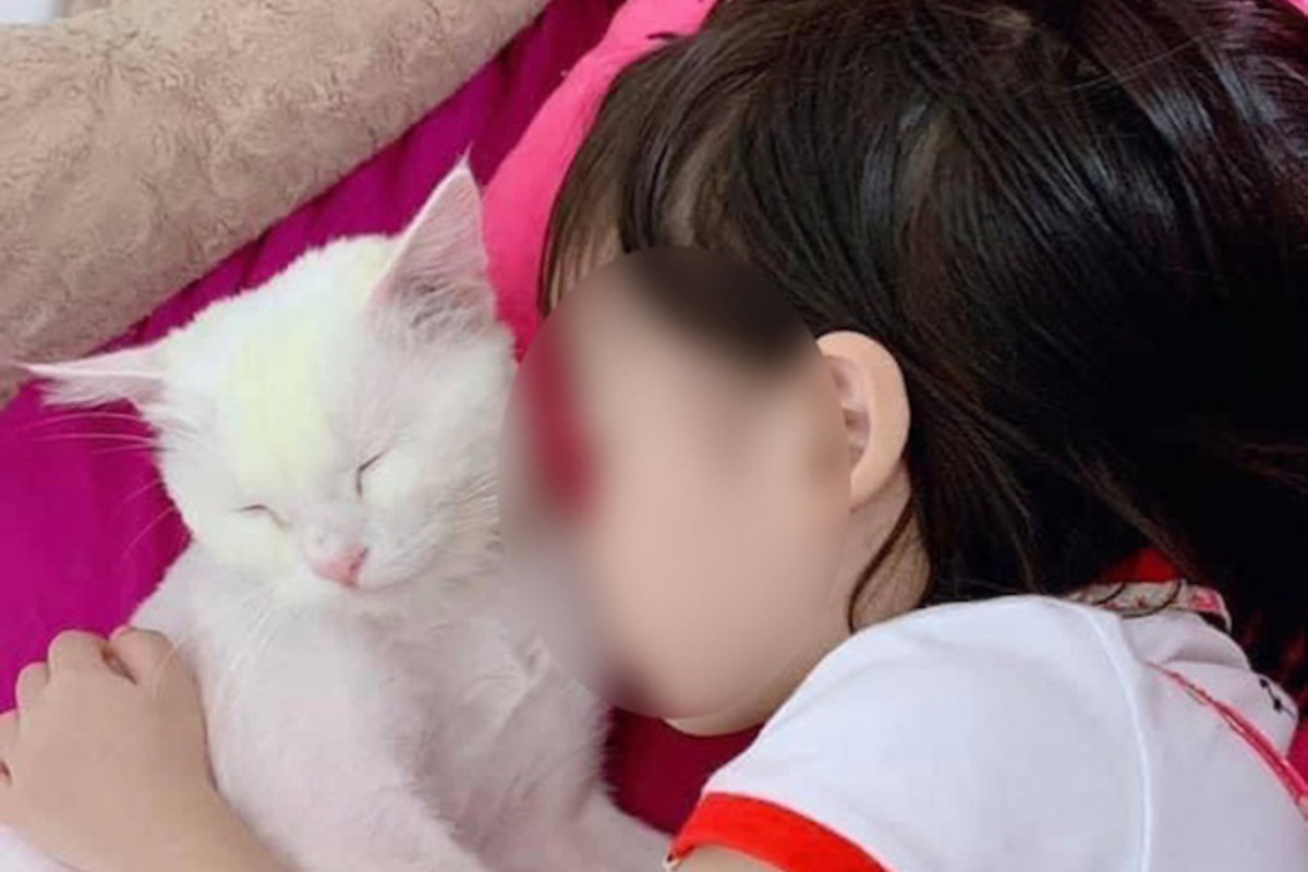Youtubeの「ハングマン」の真似、5歳女児が首吊り死亡