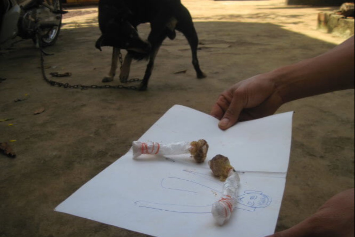 犬用の毒をキャンディーと間違い誤食、4歳児が死亡