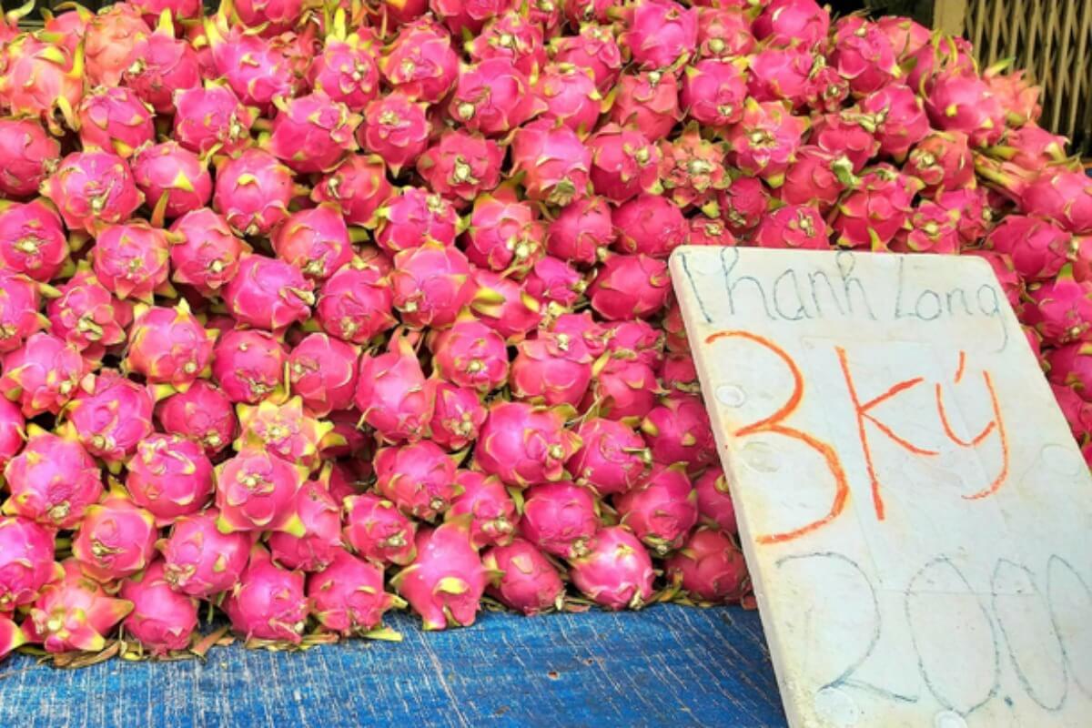 ドラゴンフルーツ1kgあたり約20円、中国ロックダウンの影響続く