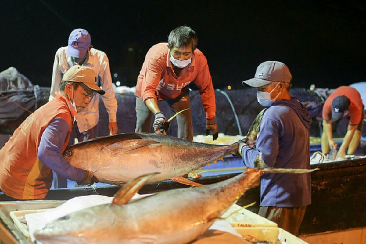 ベトナム、第1四半期の水産物輸出は40％増加