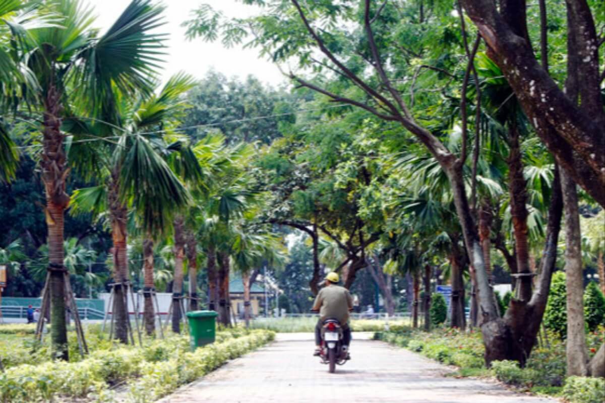 ホーチミン市、今年中に10ヘクタール以上の公共公園を増設予定