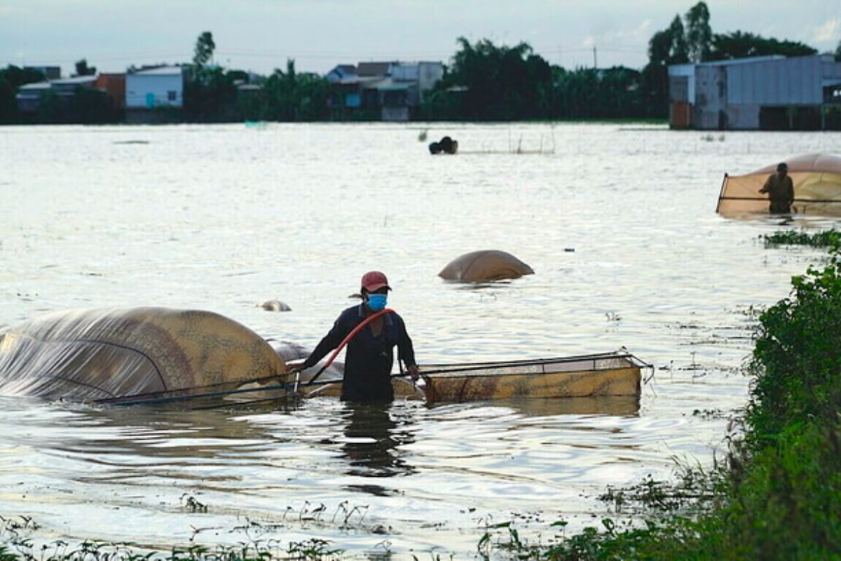 中国のダムの影響でメコン川流量に異変、数ヶ月後に干ばつの懸念も