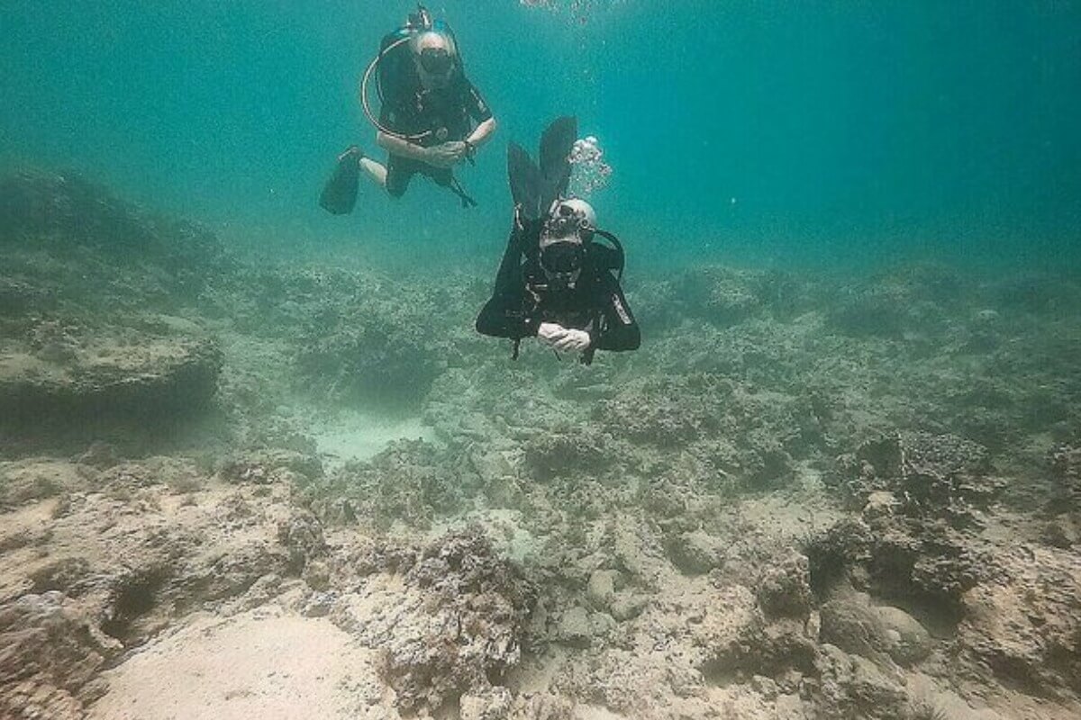 違法漁業と気候変動、ニャチャンのサンゴが大量に死滅