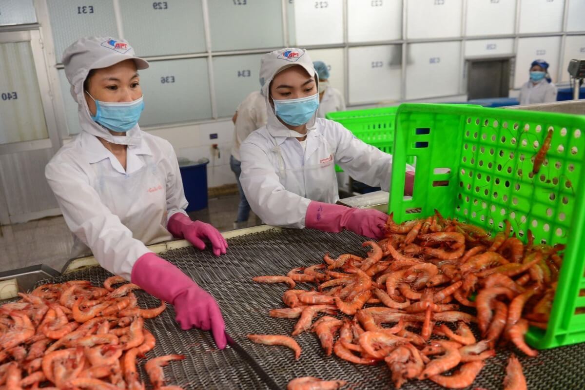 1〜6月の水産物輸出額、約7840億円に迫る勢いで増加