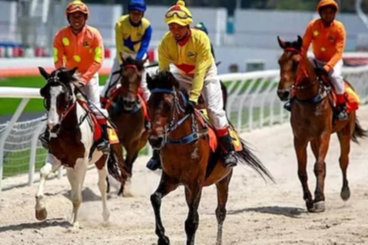 ベトナム国会、スポーツ賭博の合法化を提案