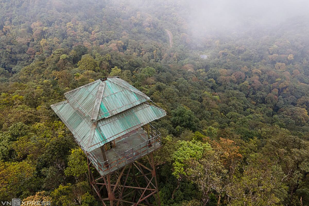 野生のトラを発見か、フォンニャ・ケバン国立公園で調査が進められる