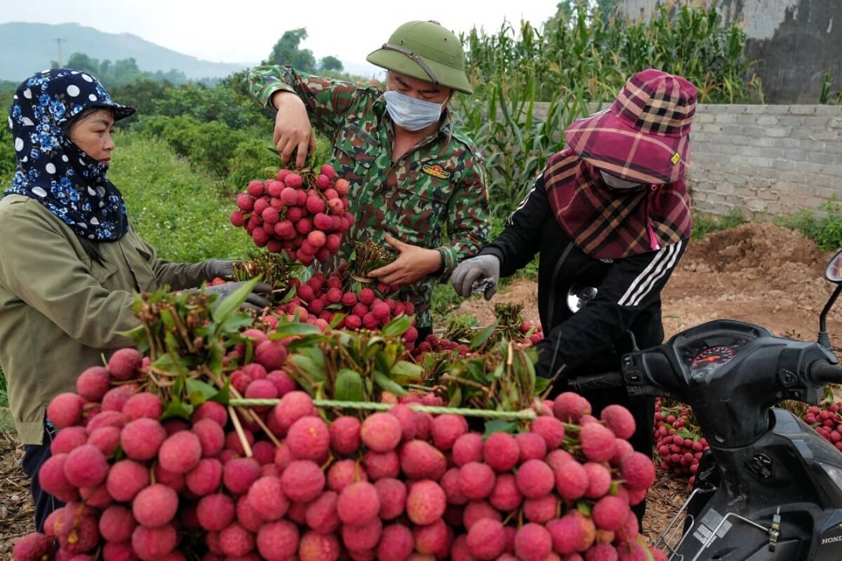 アジア太平洋地域の主要経済国、ベトナムがGDP成長率をリード