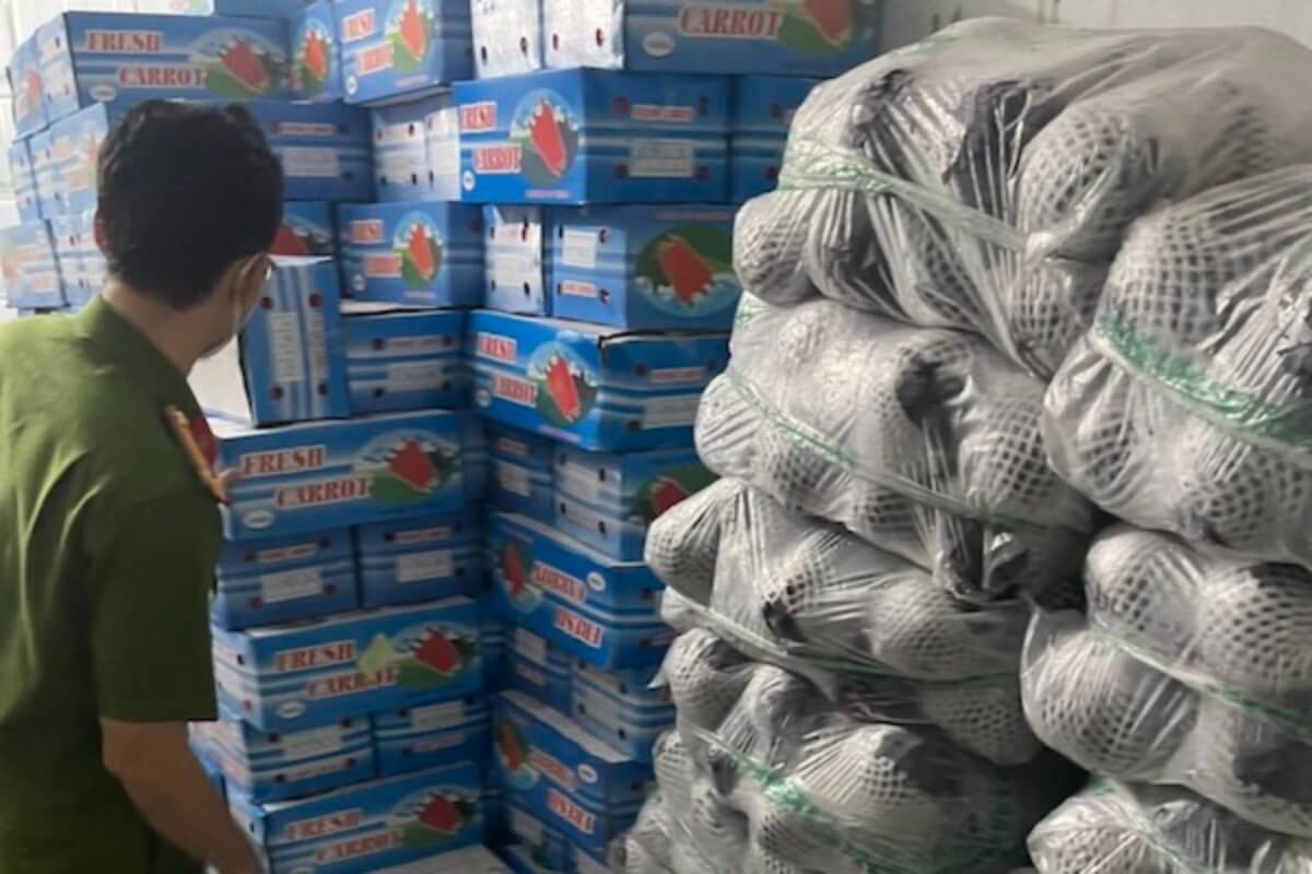 産地不明の野菜約12トン、ホーチミン市の倉庫から押収