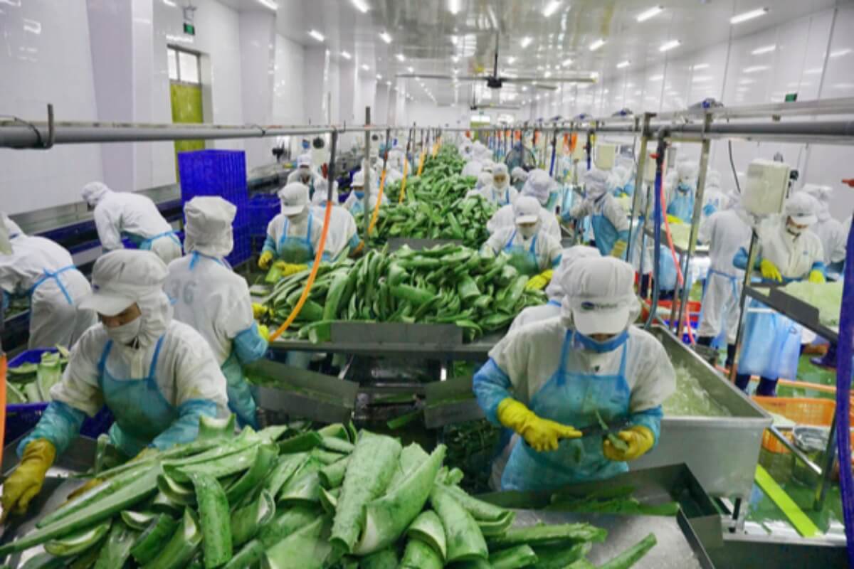 銀行与信枠上限引き上げ、84億ドルを経済へ投入：べトナム中央銀行