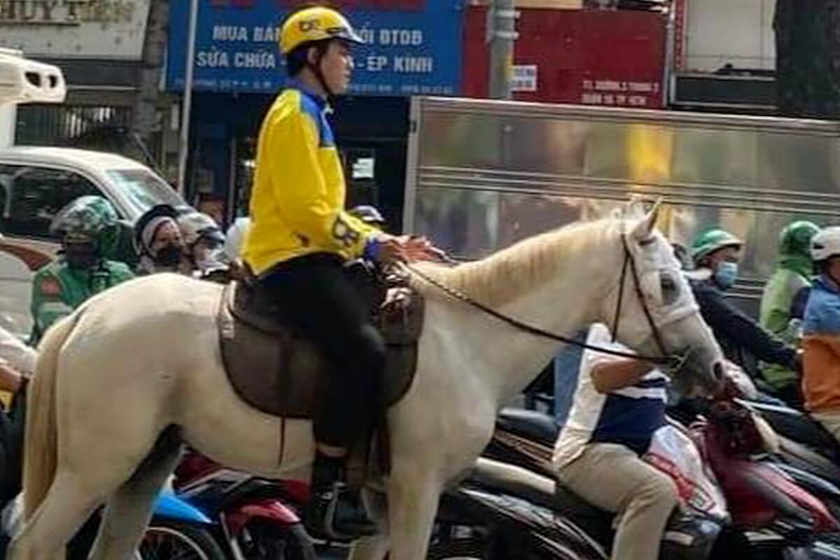 ホーチミン市の中心部道路で乗馬、騎乗した男性に16万ドンの罰金