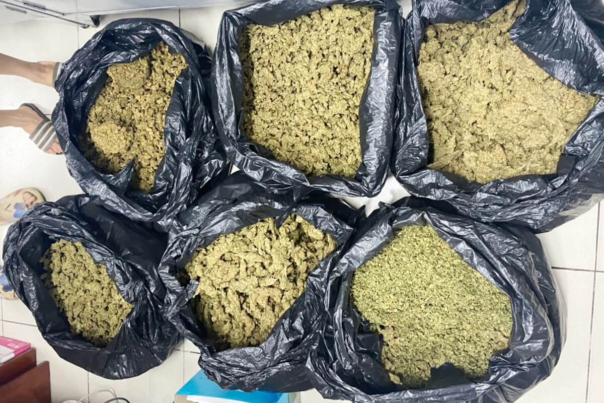 ホーチミンで大麻40kgを押収、お茶に偽装して顧客へ輸送