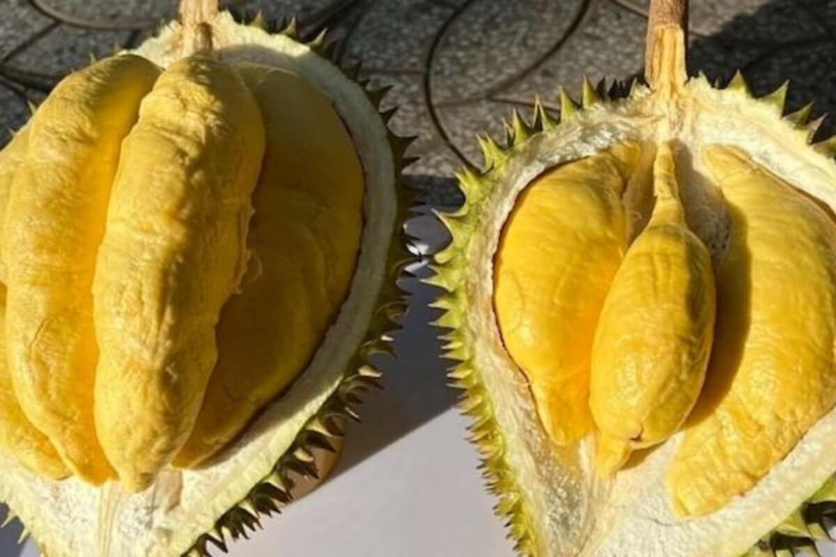 ベトナムの野菜・果物輸出、2023年は40億ドルへ到達見込み
