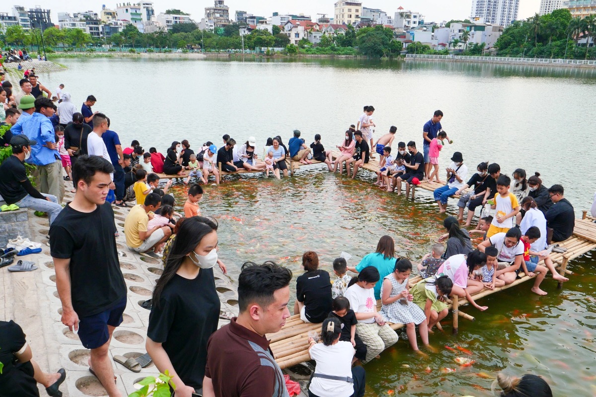 ハノイのダムドン湖、錦鯉8トンを撤去へ