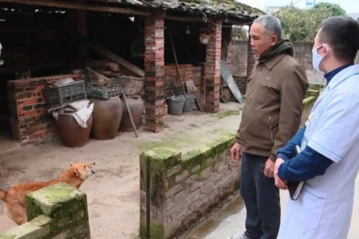 学校に狂犬病の犬が侵入、次々に14人へ噛みつく