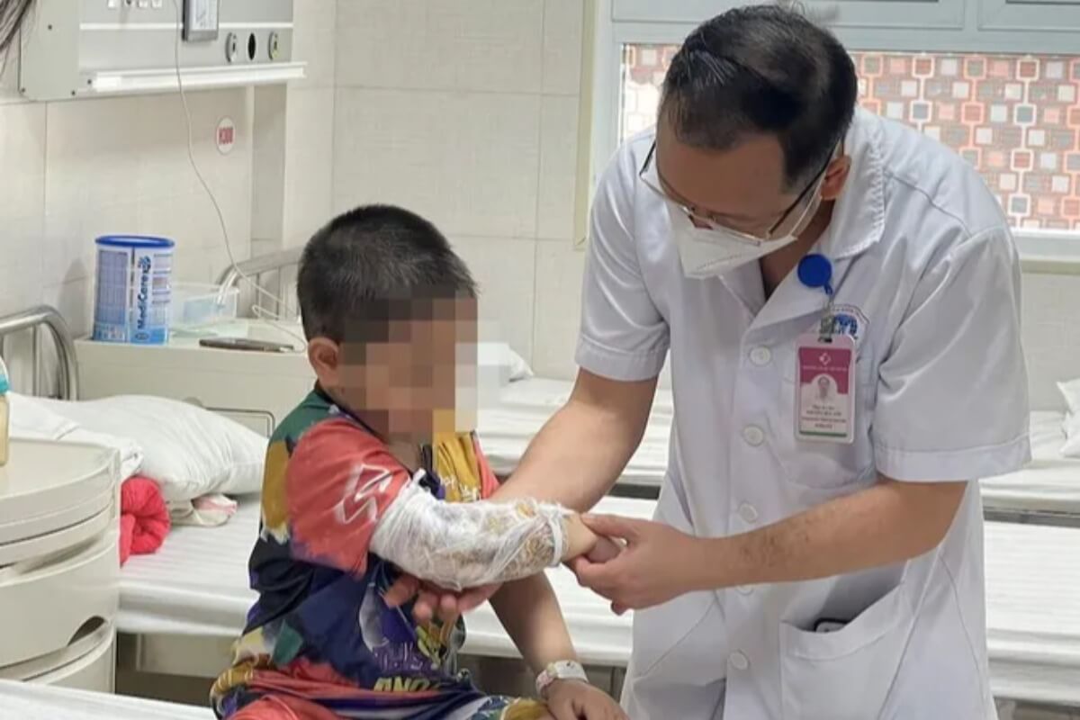 3歳児がシェパードに襲われる、腎臓破裂の大怪我