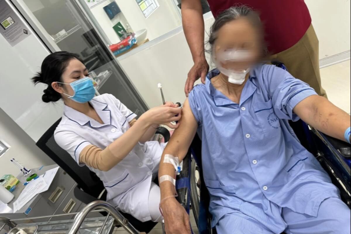ハノイ在住68歳の女性、近所の犬にかまれ70針の怪我