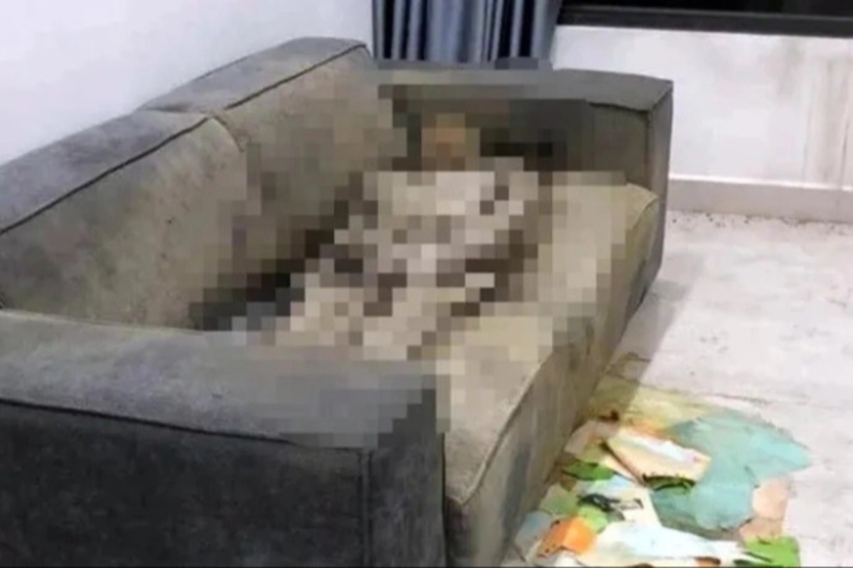 ハノイのビンホーム、女性のミイラ化した遺体が発見