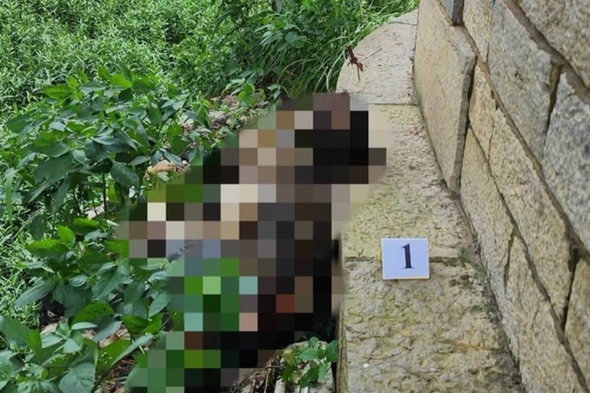 ロンビエン橋下でミイラ、警察が情報提供を呼びかけ