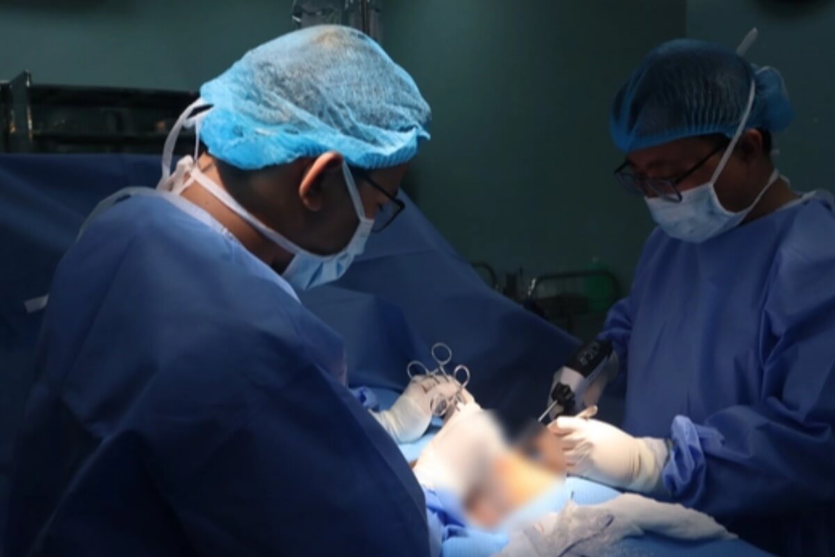 出産する母豚が噛みつく、男性が陰部損傷で重傷