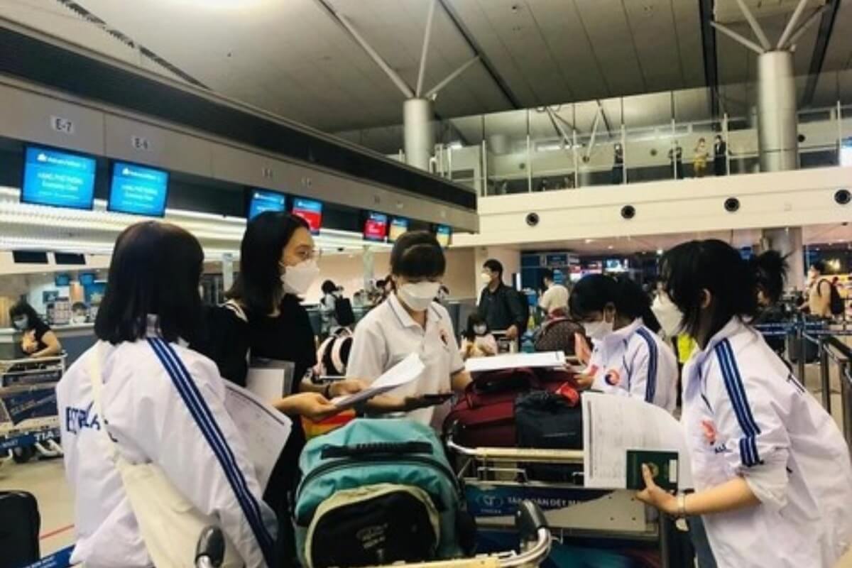 韓国への出稼ぎ詐欺、同じ村人に騙され45億ドンの被害