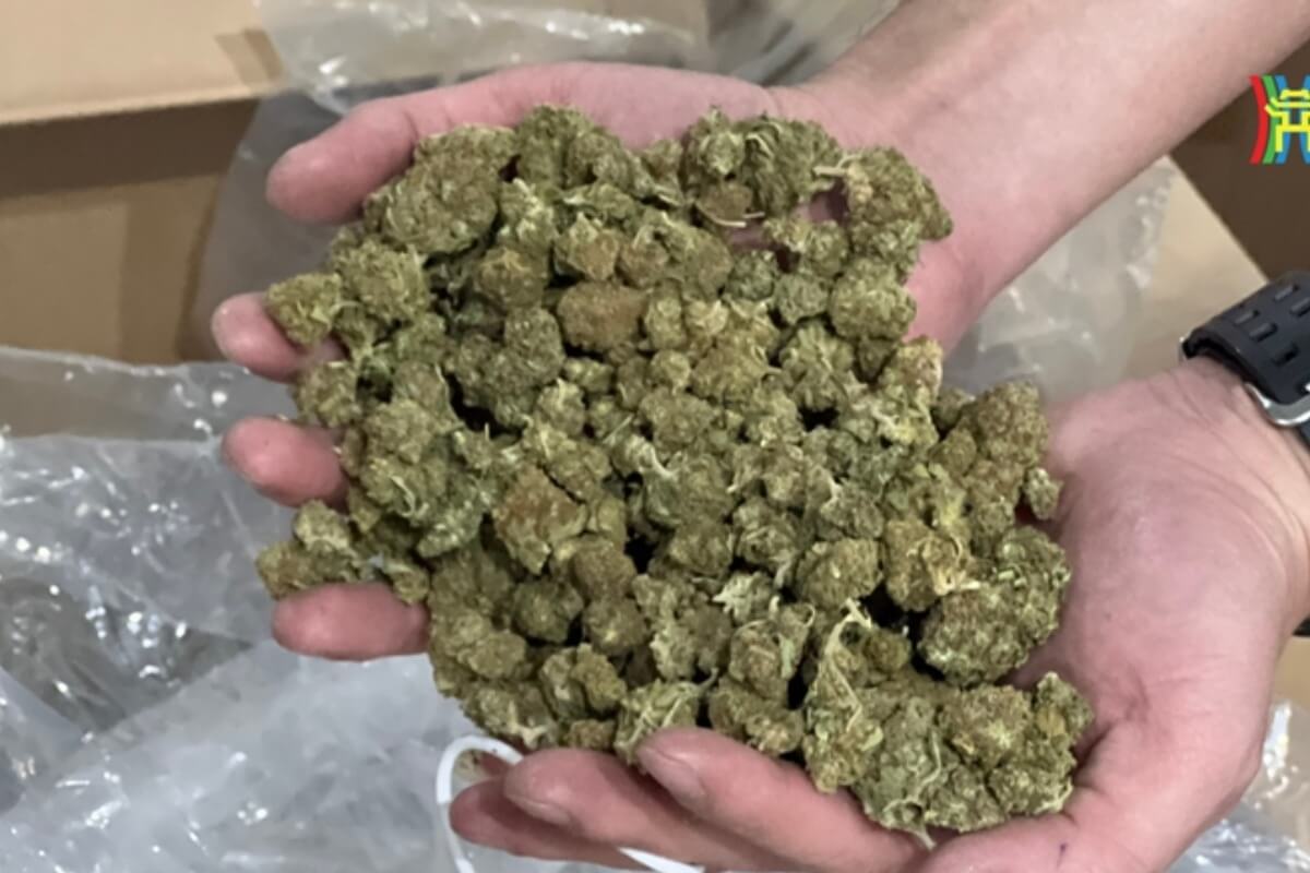 タイから密輸された大麻800kg、ハノイで過去最大の押収量