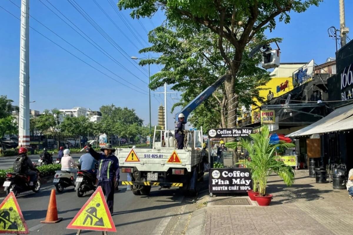 通勤時間の樹木剪定で交通渋滞、ホーチミンの対応に疑問の声