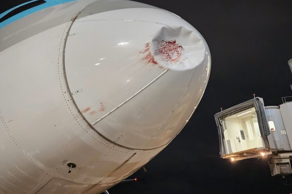 韓国行きのダナン発便、機体の損傷で運航中止