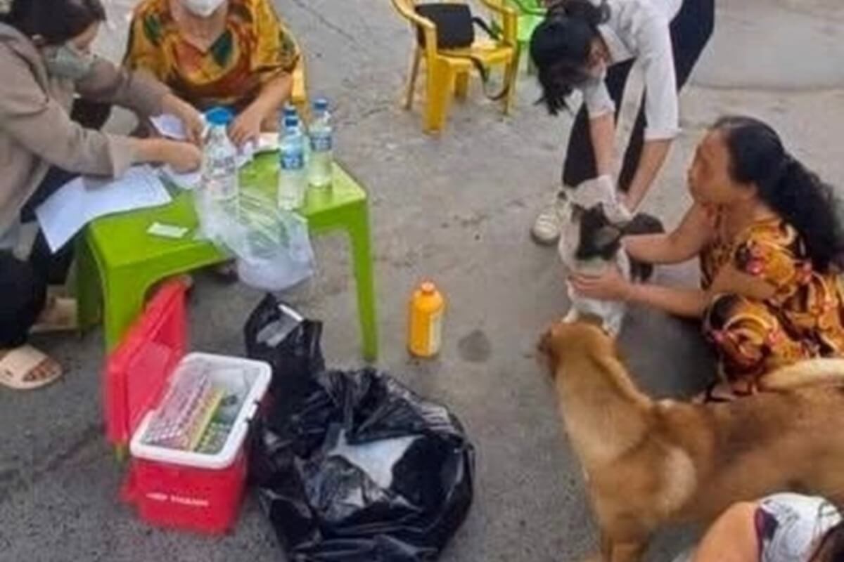 狂犬病の犬が住民を襲撃、少なくとも3人が被害に