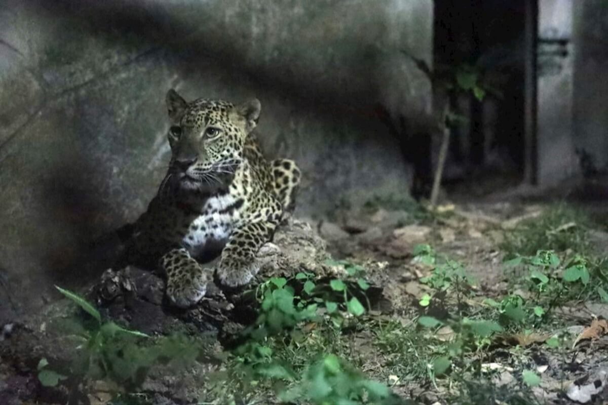 サイゴン動植物園、75年4月生まれは入園無料