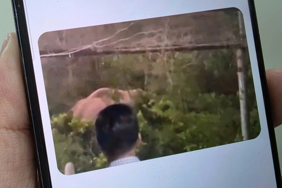 ドンナイの住宅街に野生のゾウ、過去には人的被害も発生